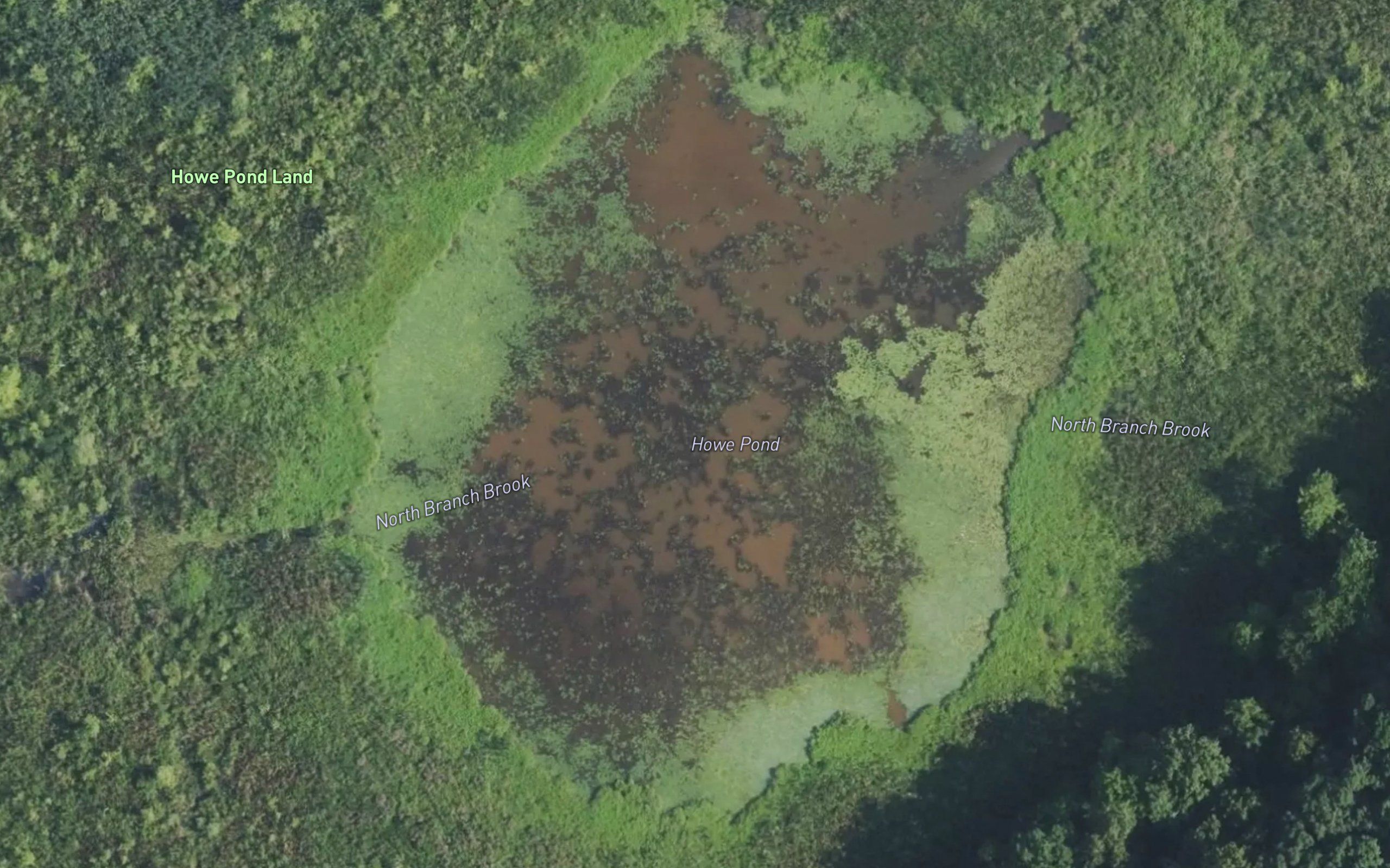 Howe Pond