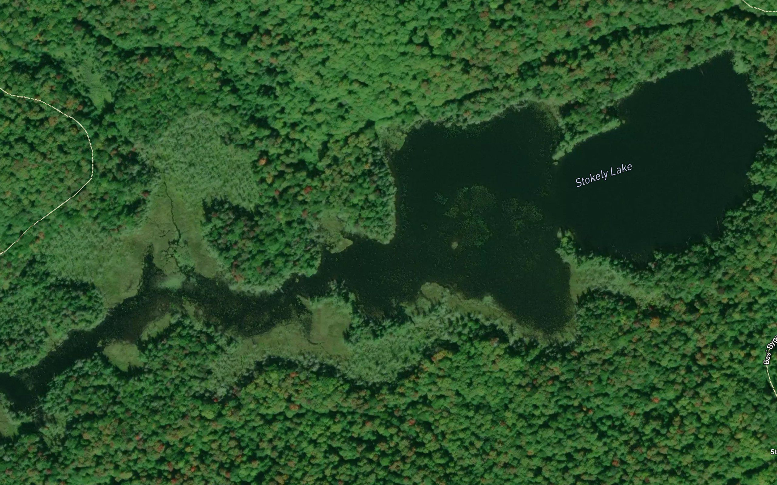 Stokely Lake