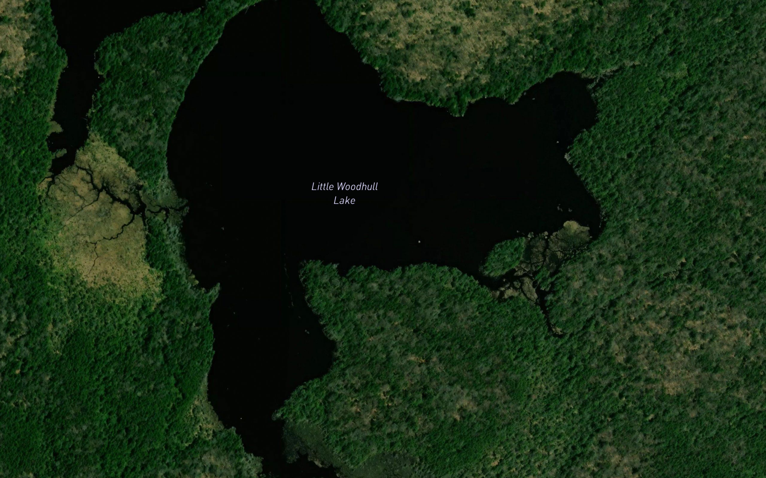 Little Woodhull Lake