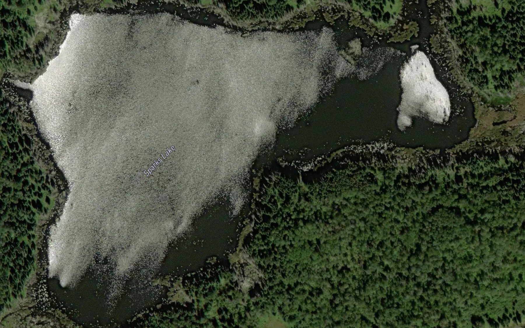 Satellite map of the Sparks Lake