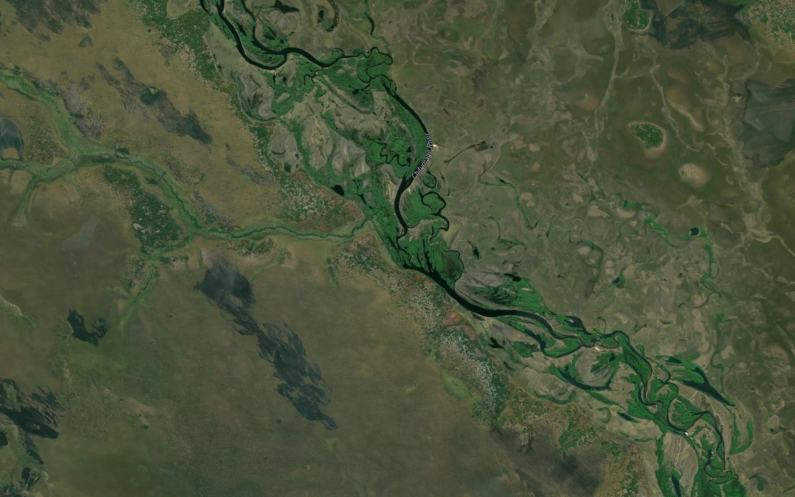 LussuegiPrimeiro