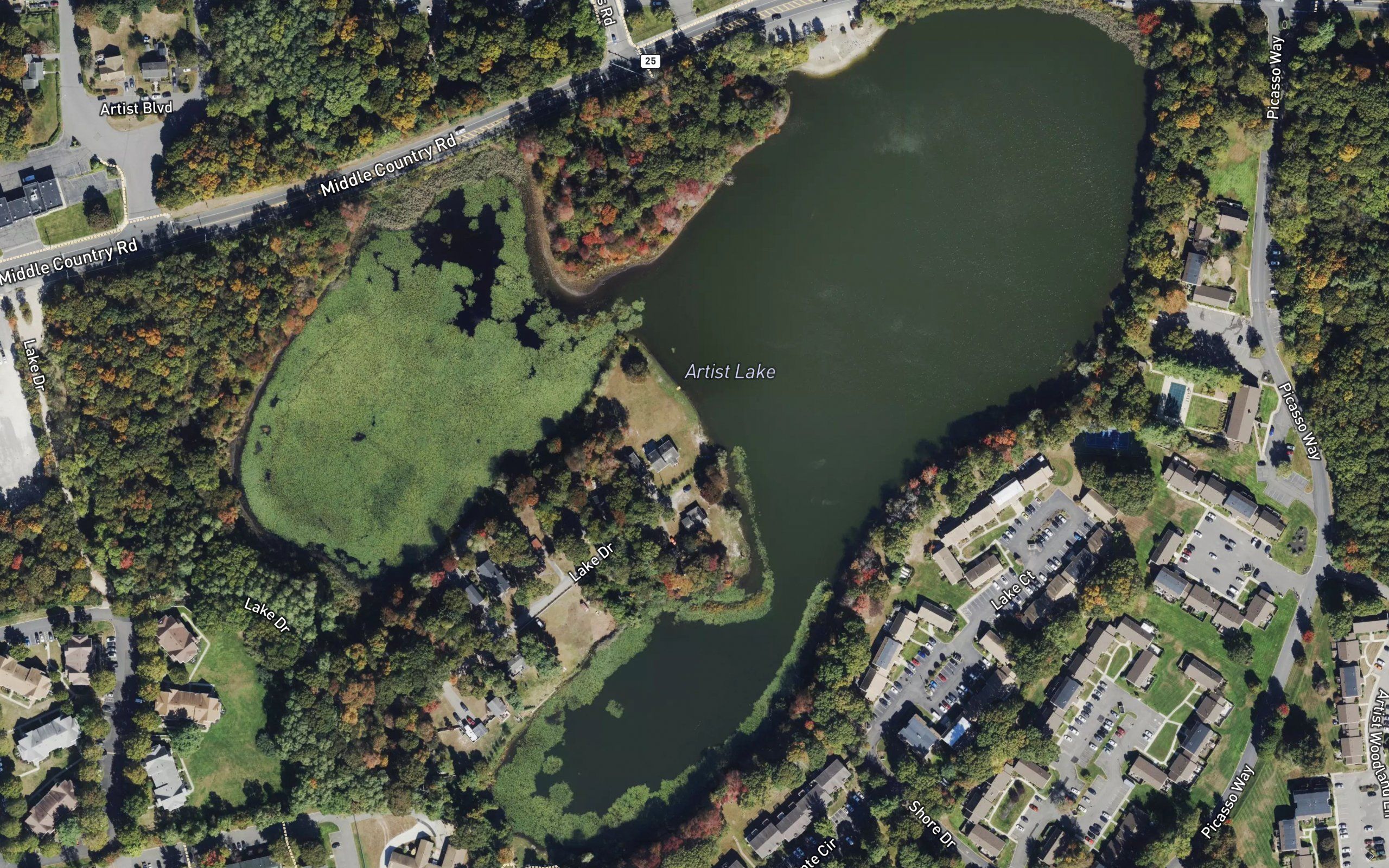 Artist Lake