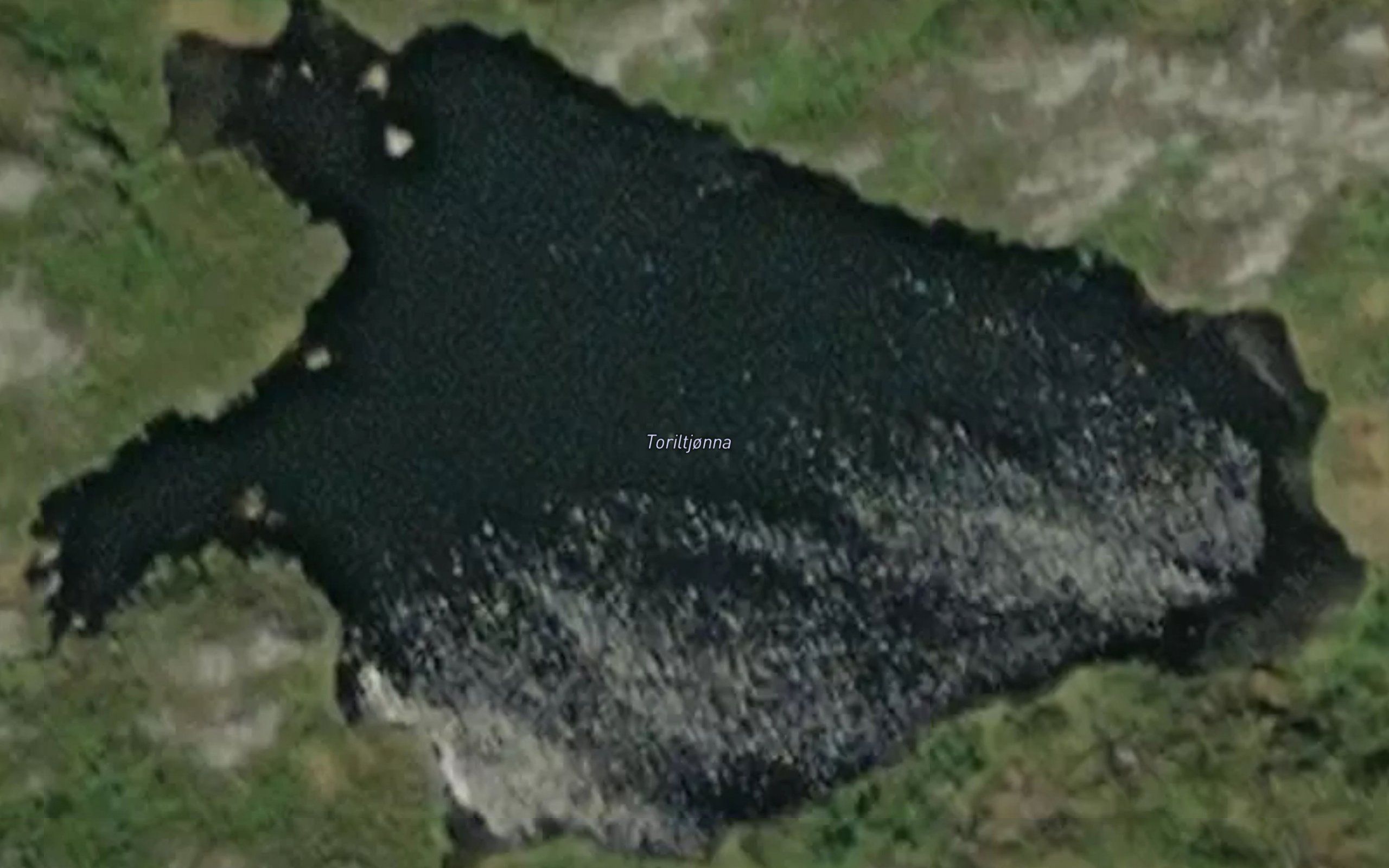 Toriltjonna