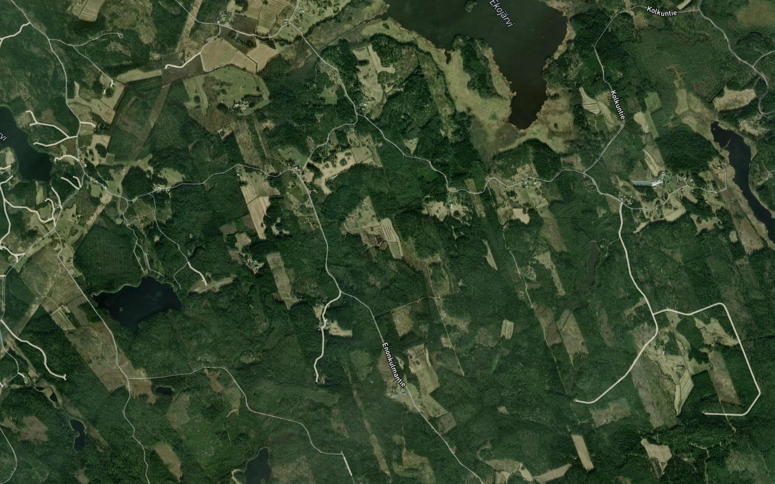 Isonkorvenoja