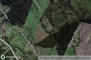 Waipapataniwha Stream