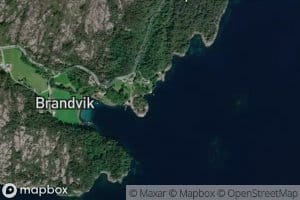 Bunesvika