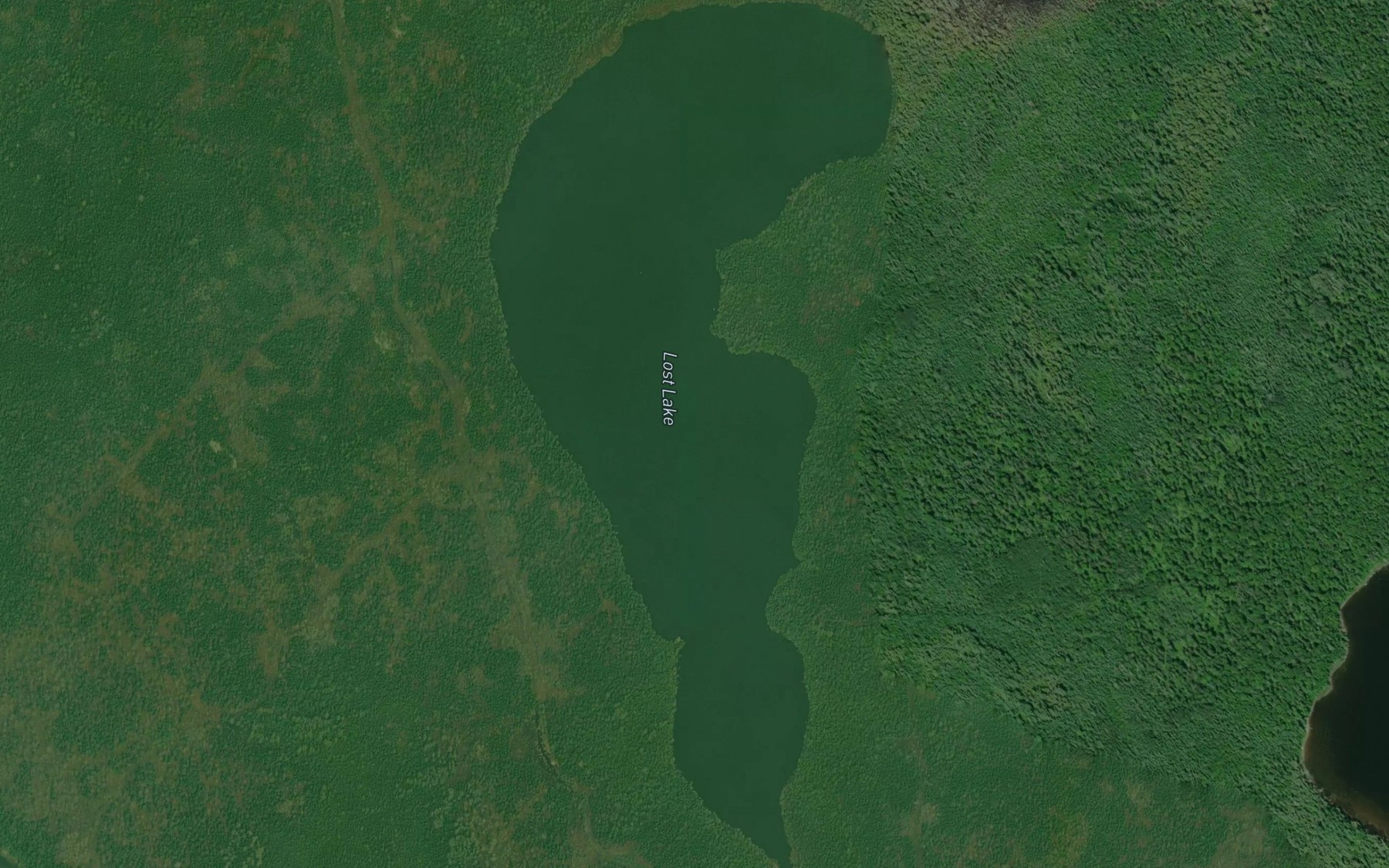Satellite map of the Lost Lake