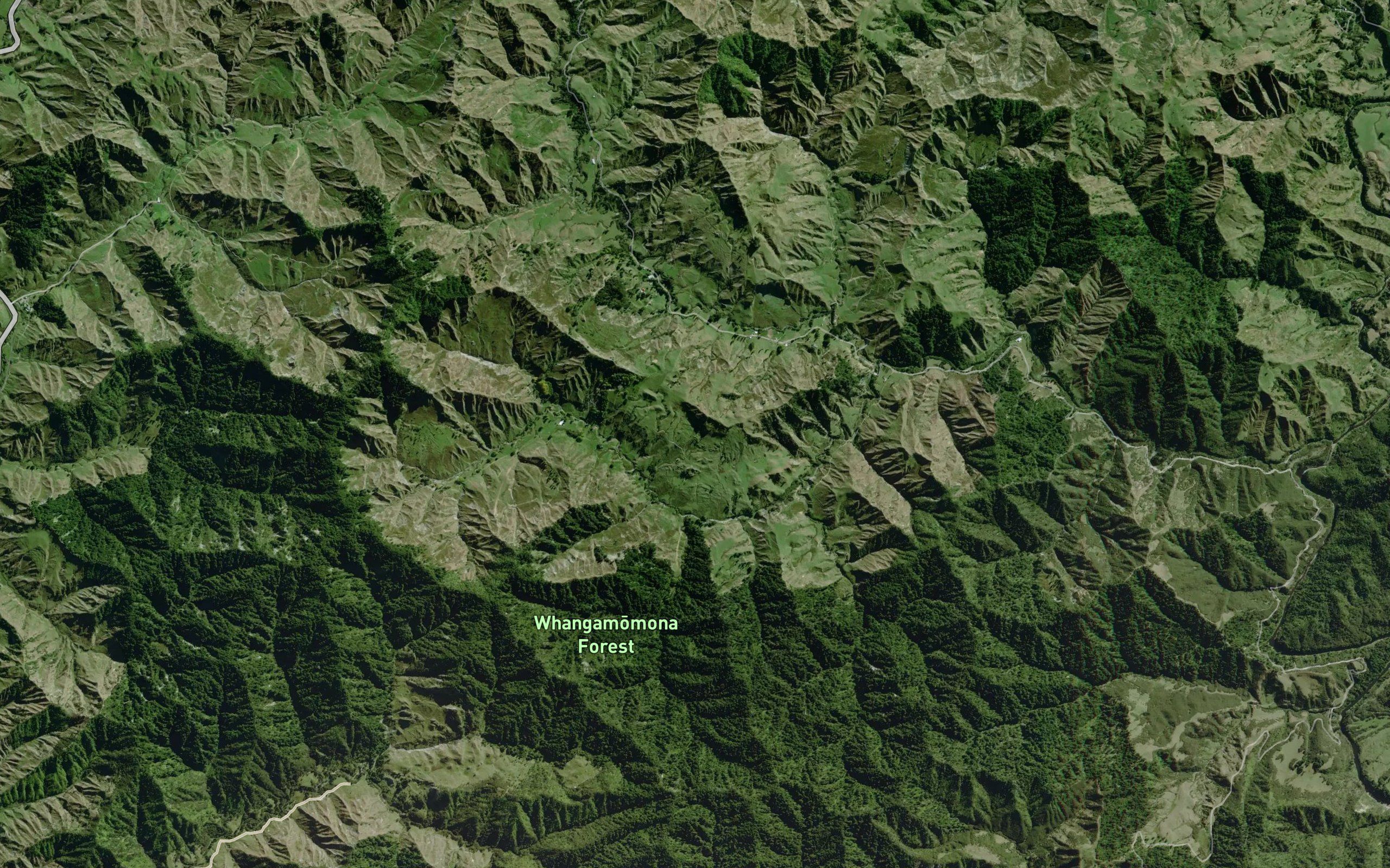 Mangapapa Stream