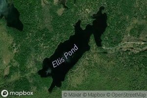 Ellis Pond