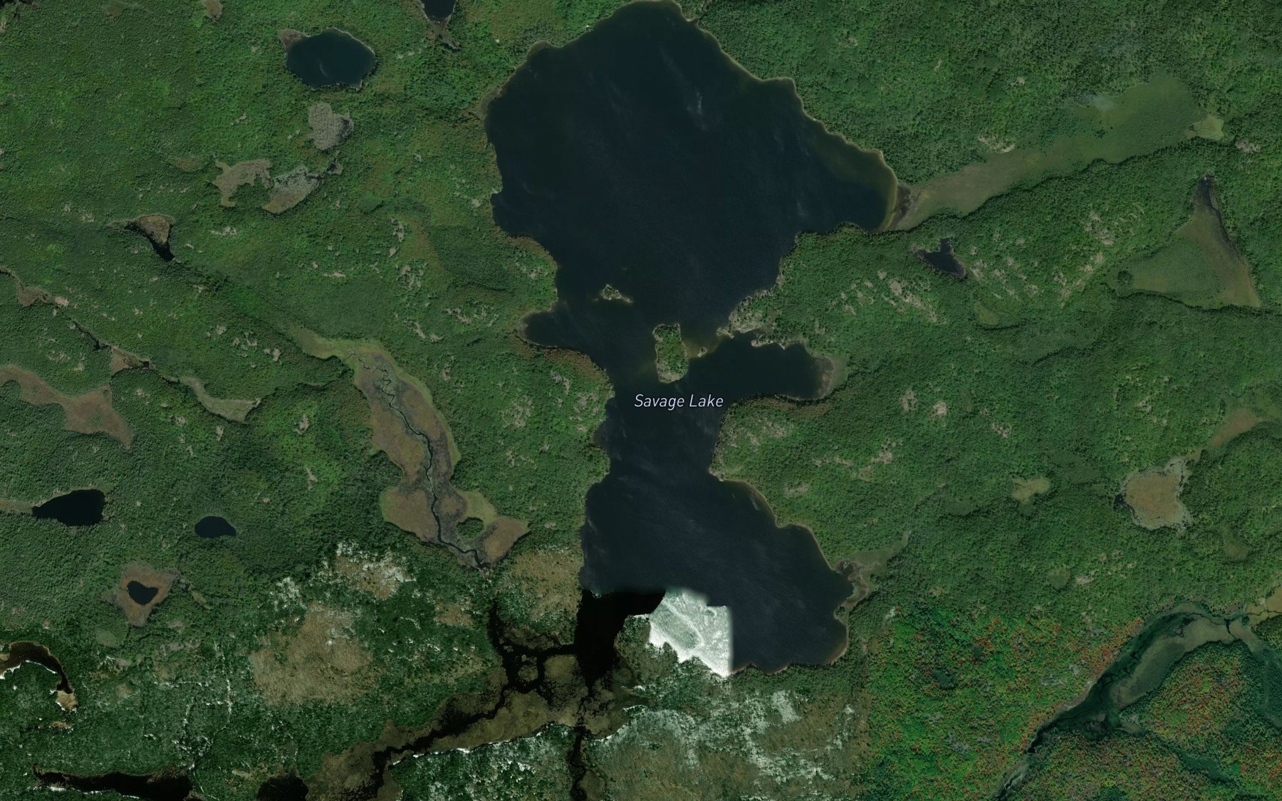 Satellite map of the Savage Lake