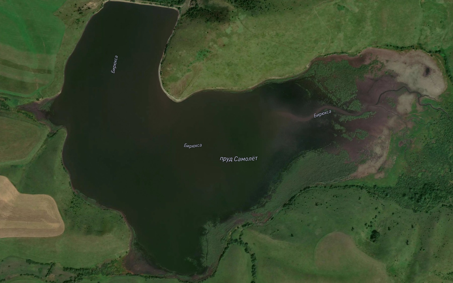 Satellite map of the Bol'shaya Biryuksa
