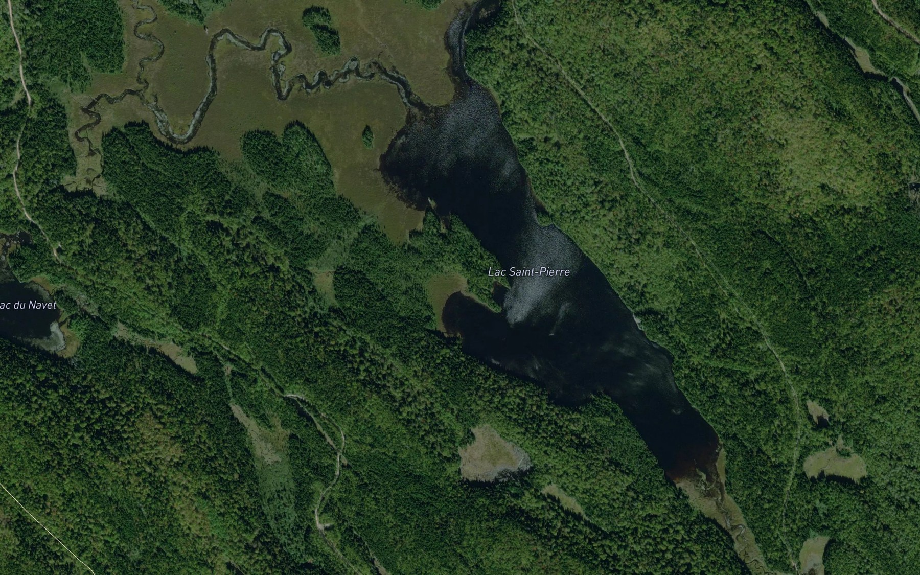 Satellite map of the Lac Saint-Pierre