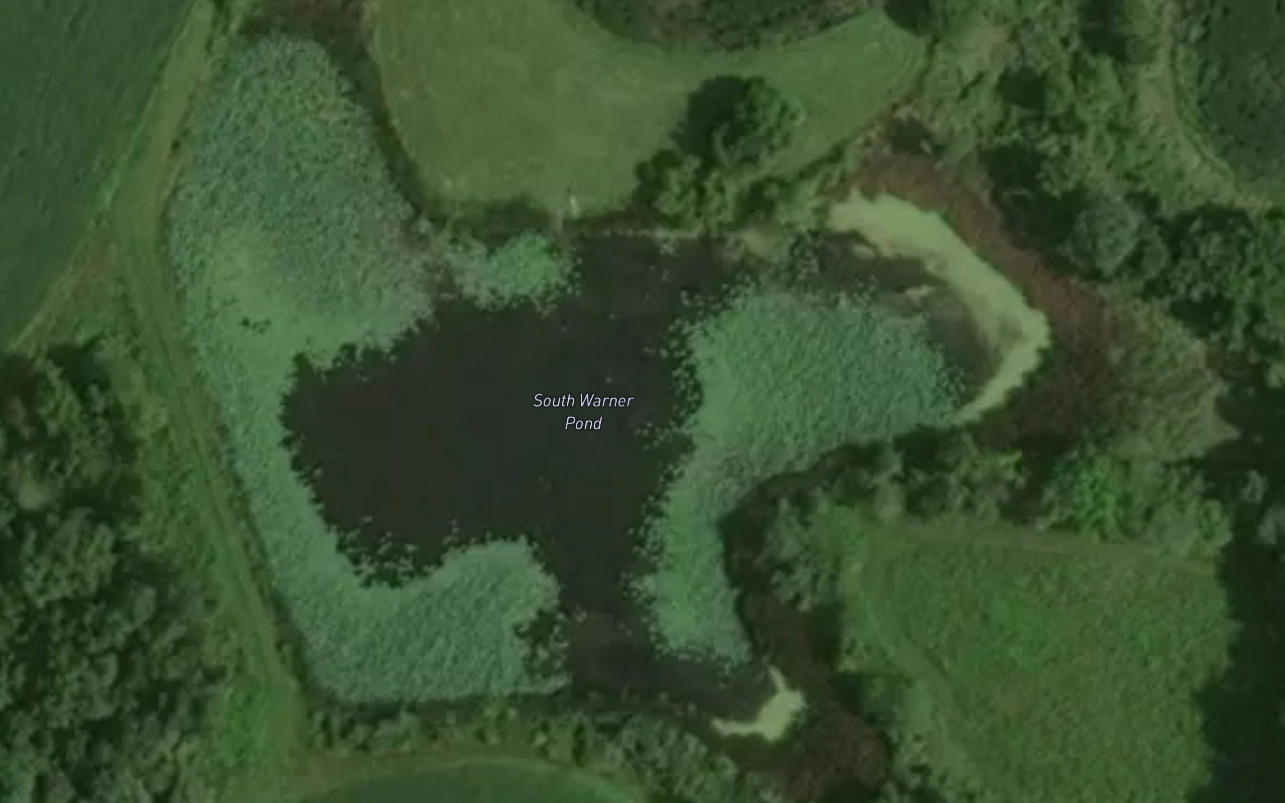 South Warner Pond