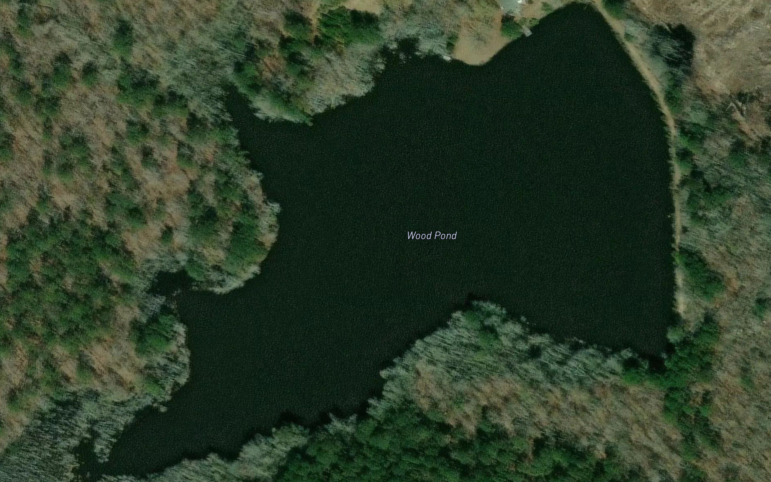 Wood Pond