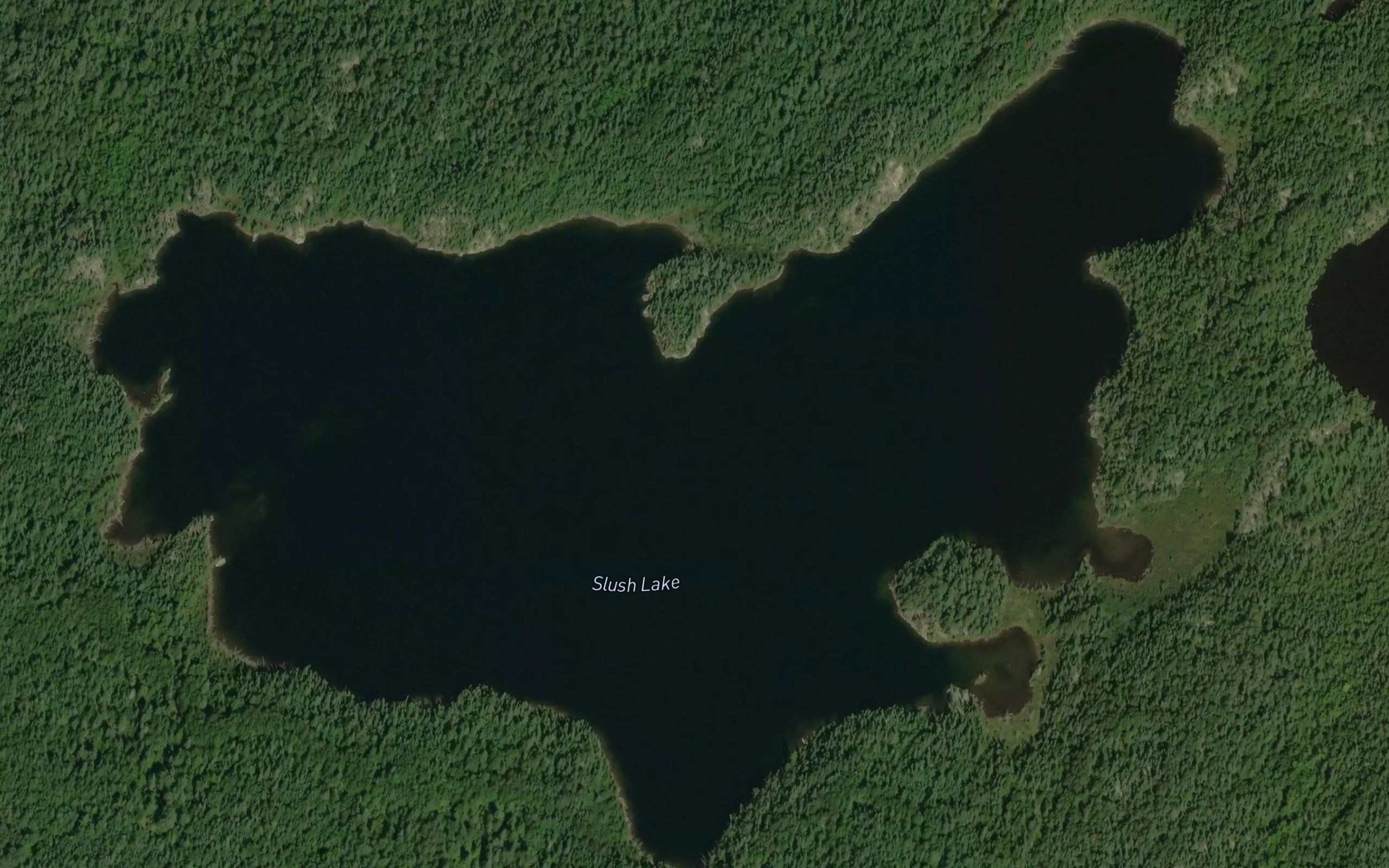 Slush Lake