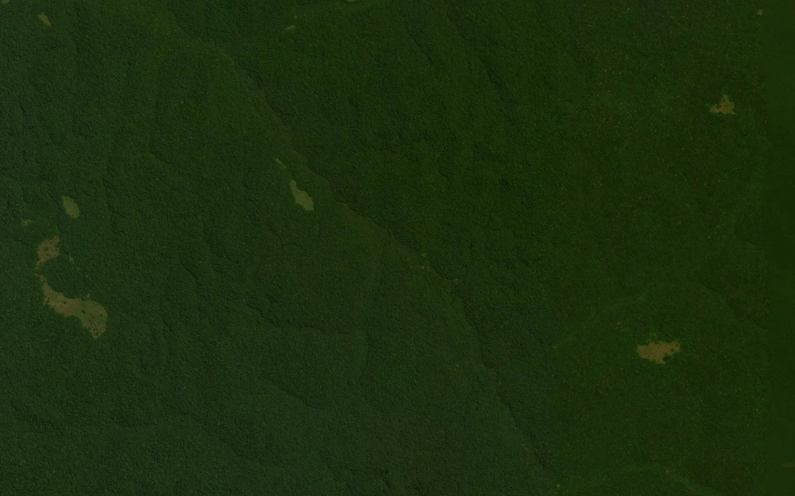 Kebula