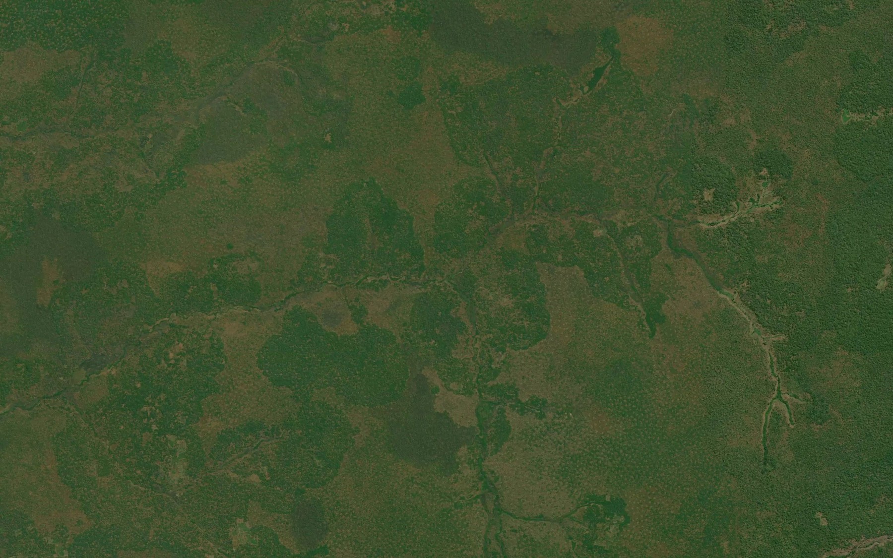 Satellite map of the Kaleshi