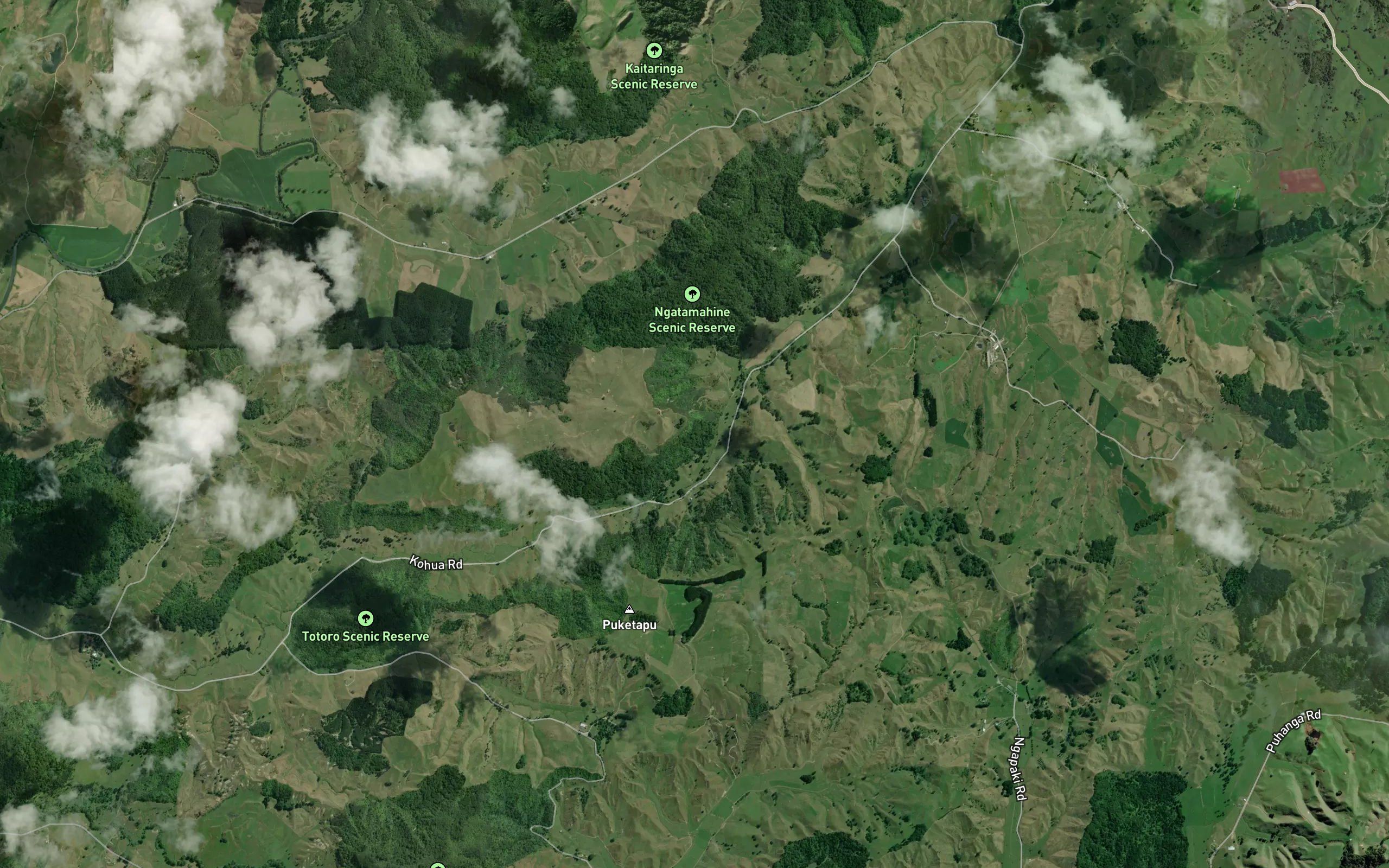 Rangikohua Stream