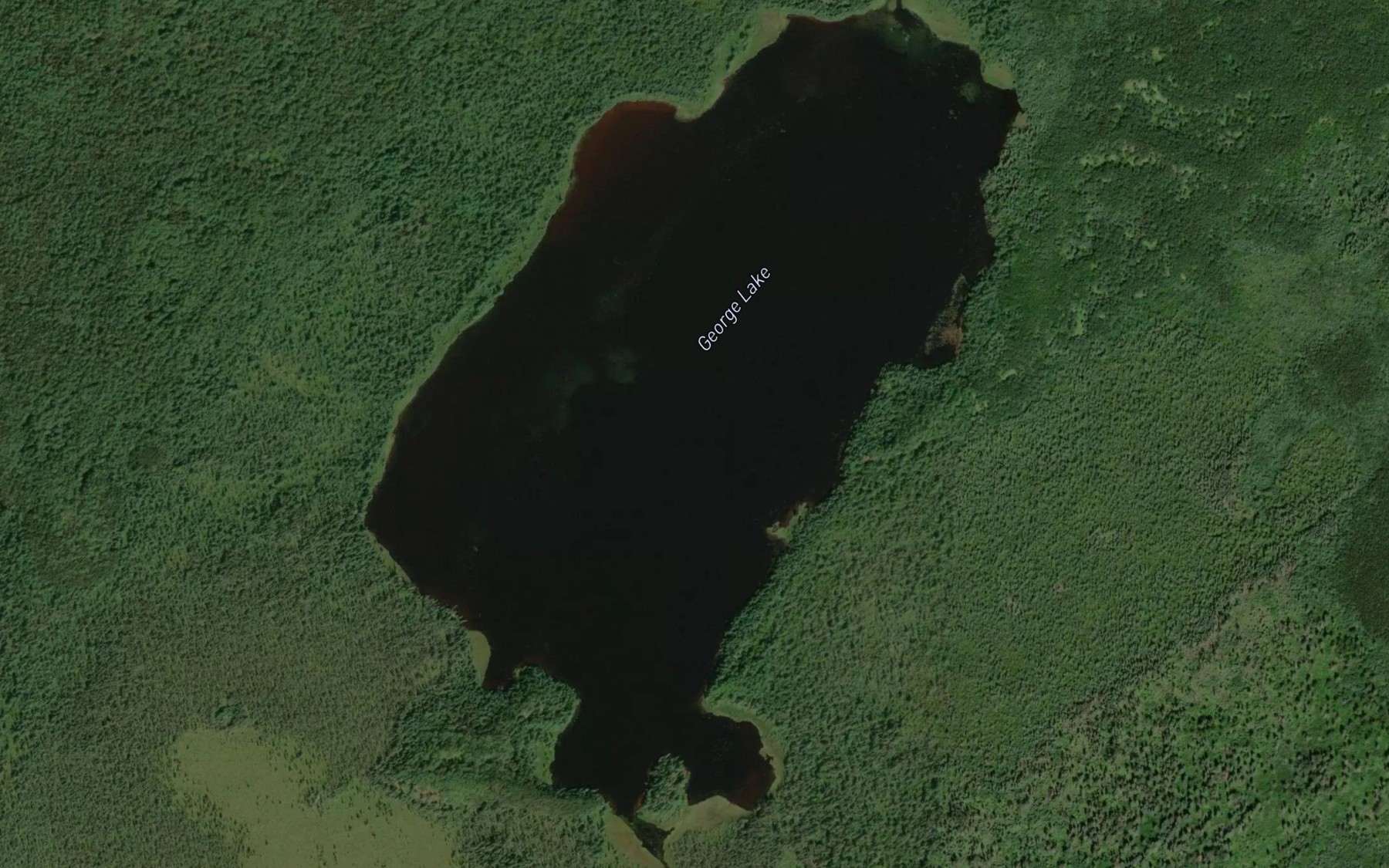 Satellite map of the George Lake