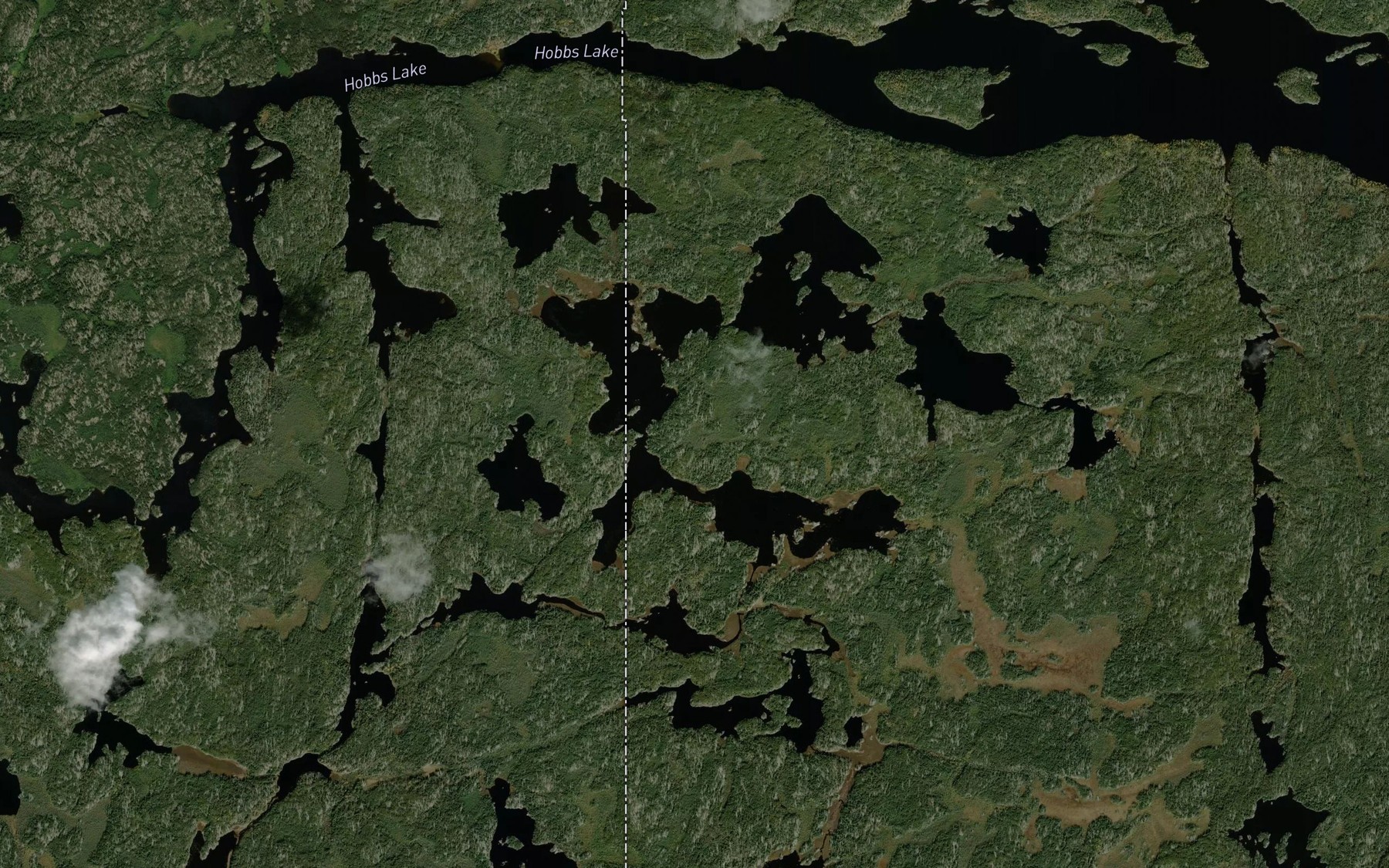Satellite map of the Walker Lake