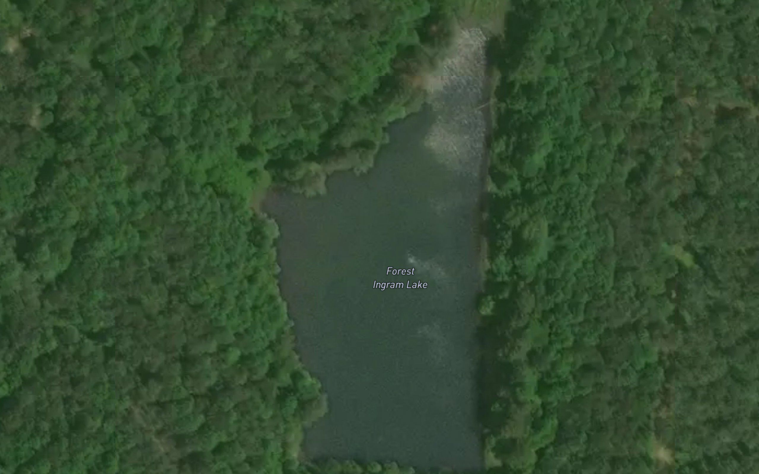 Forest Ingram Lake