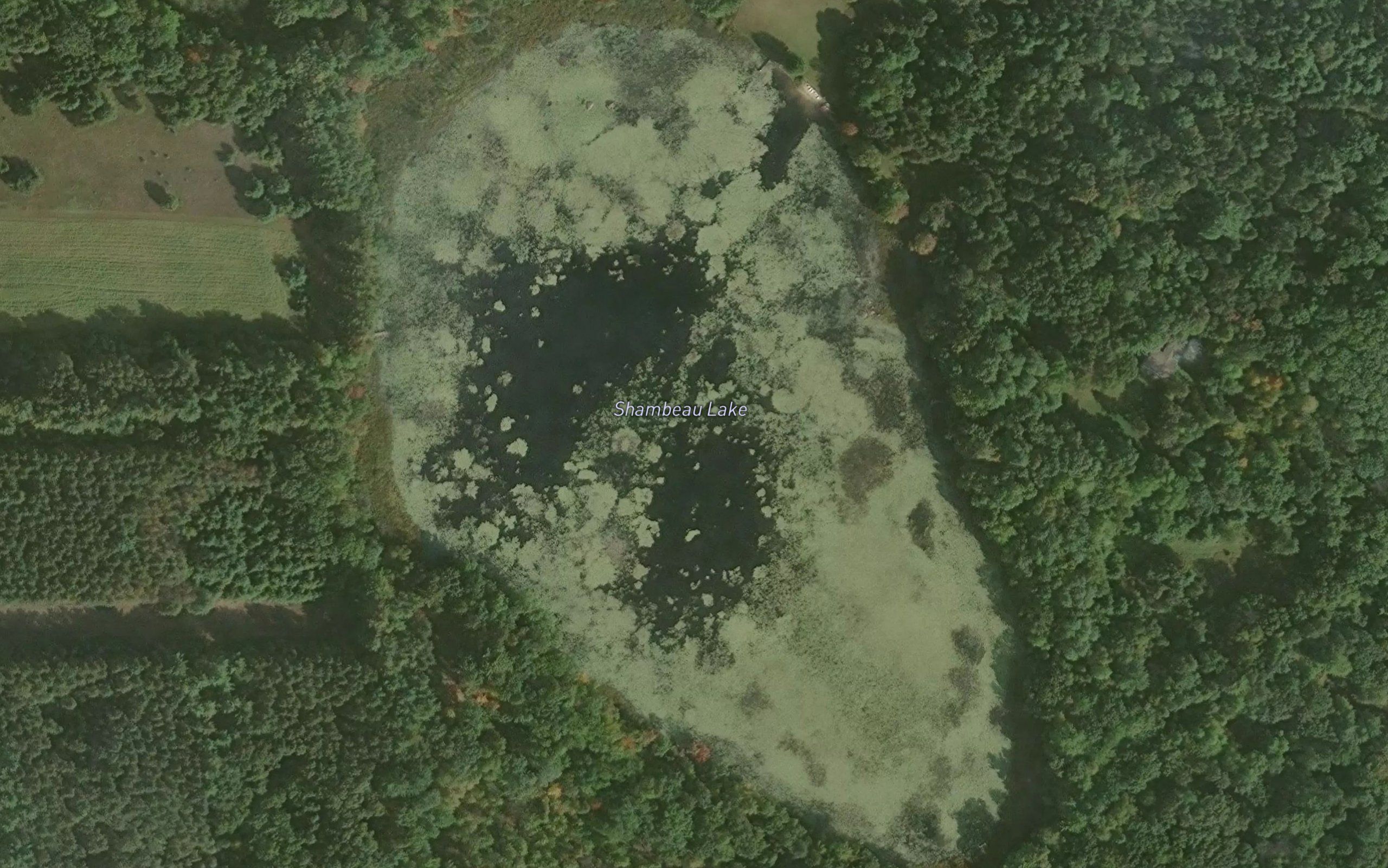 Shambeau Lake