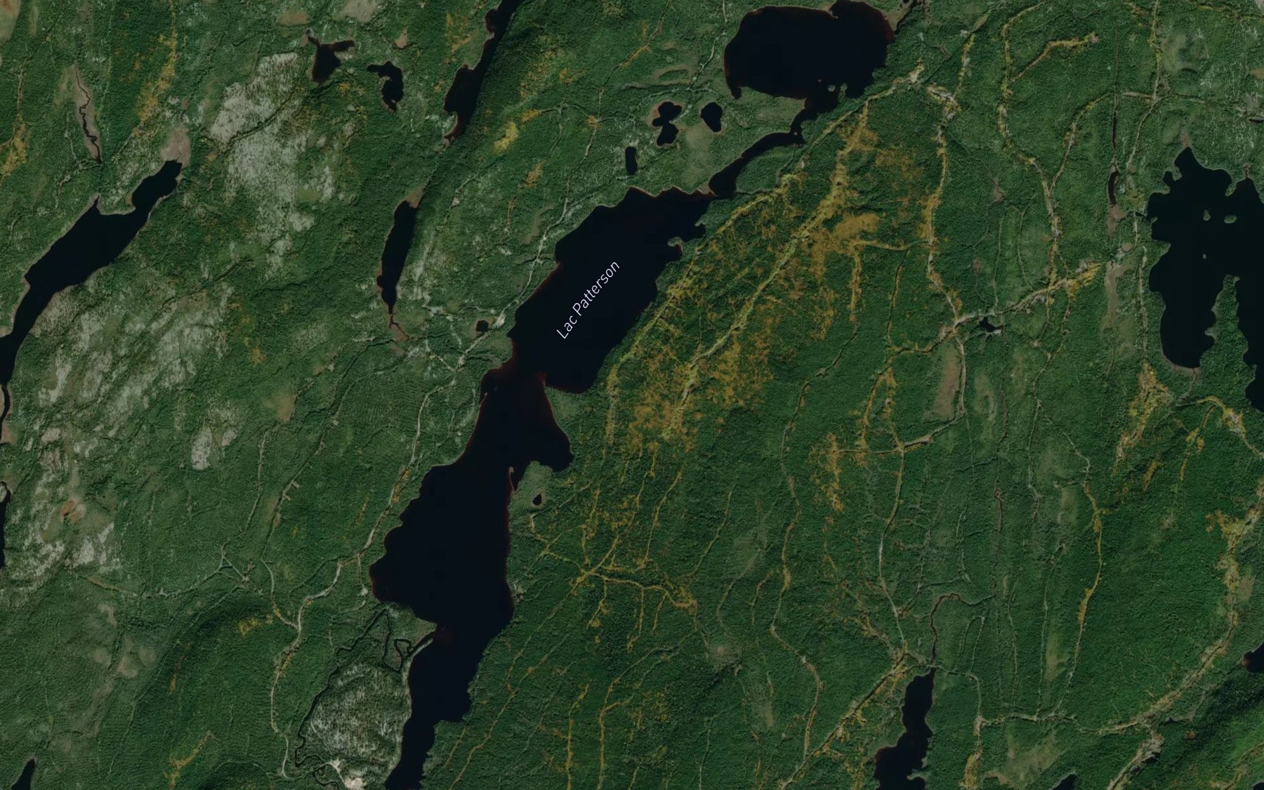 Satellite map of the Lac Patterson