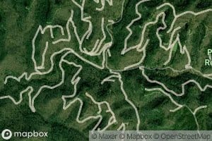 Bald Rock Fork