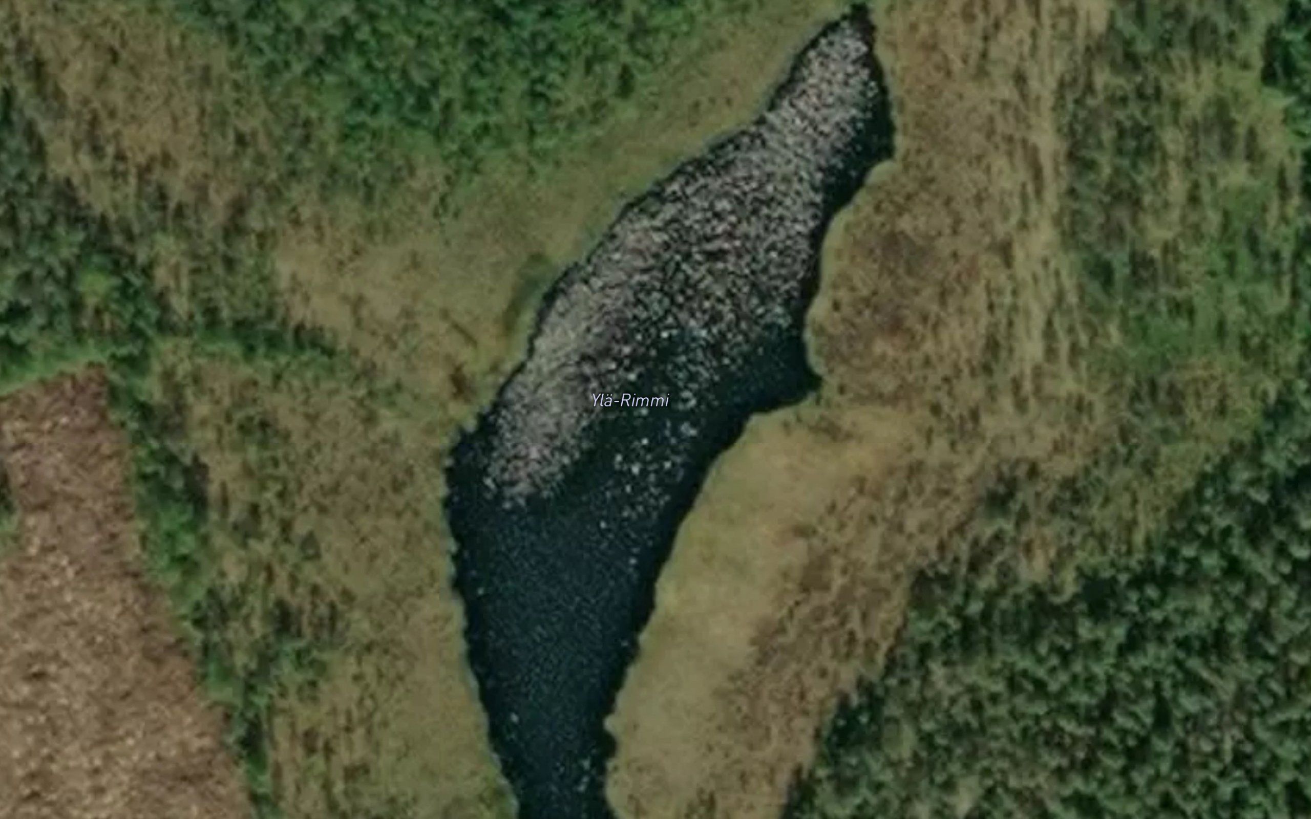 Yla-Rimminlampi