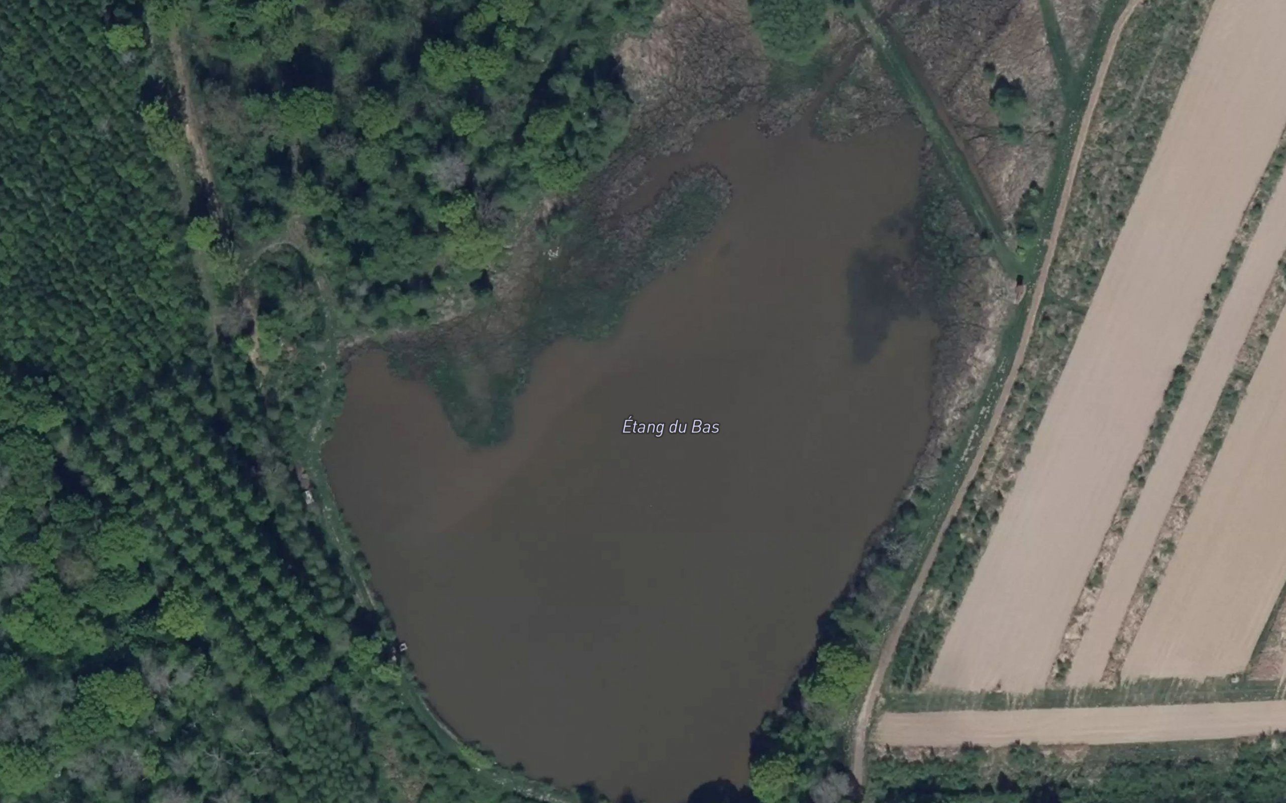 Etang du Bas