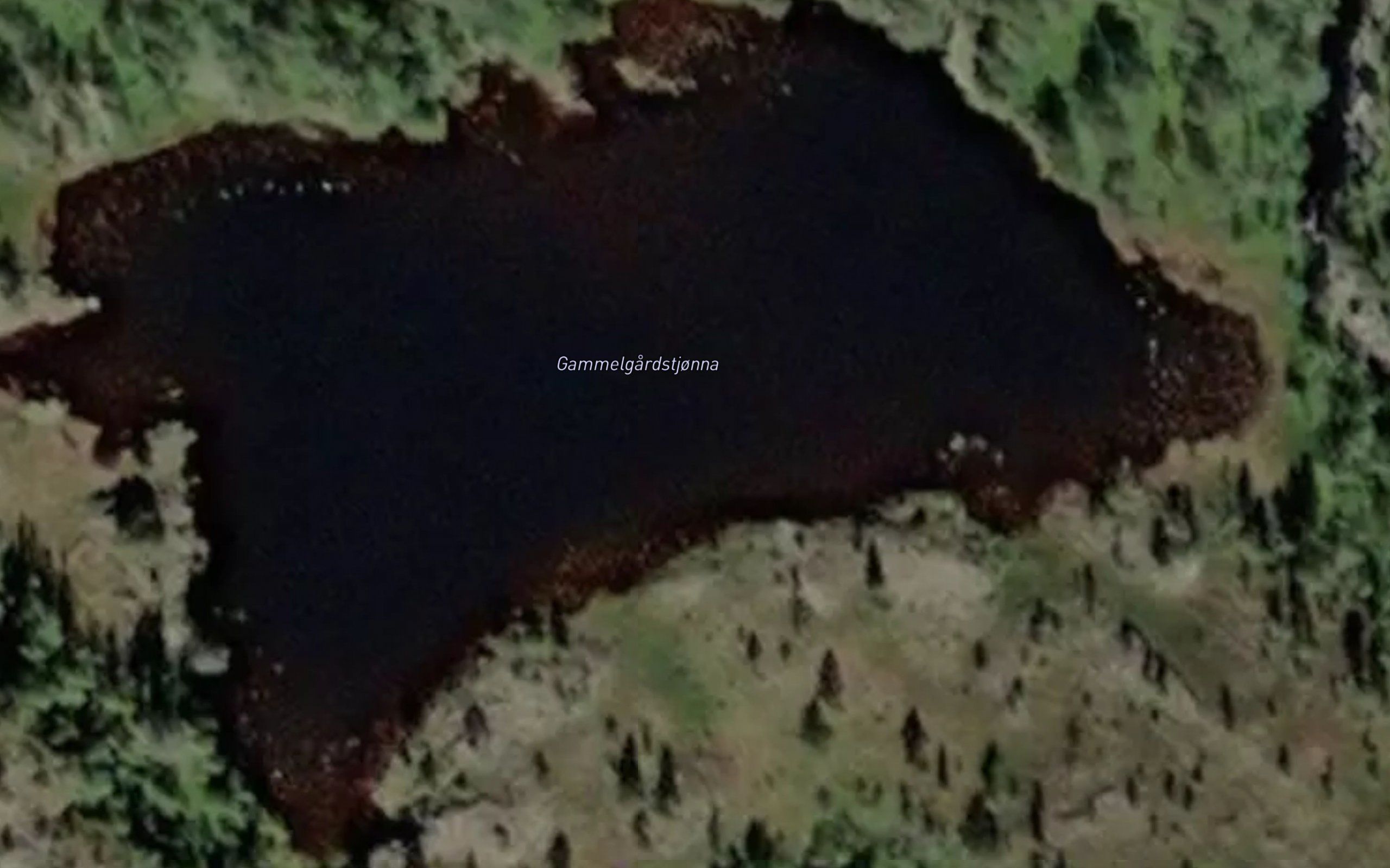 Gammelgardstjorna