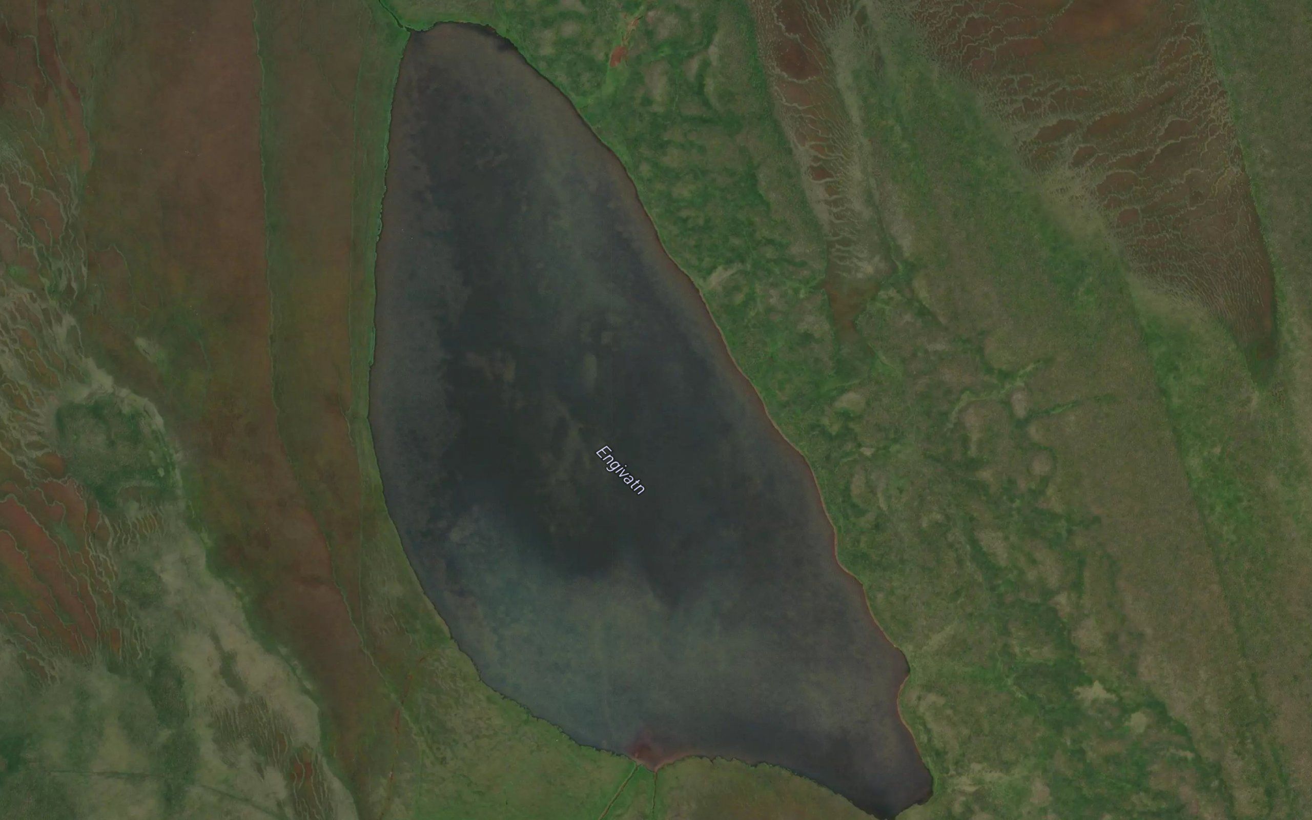 Engivatn