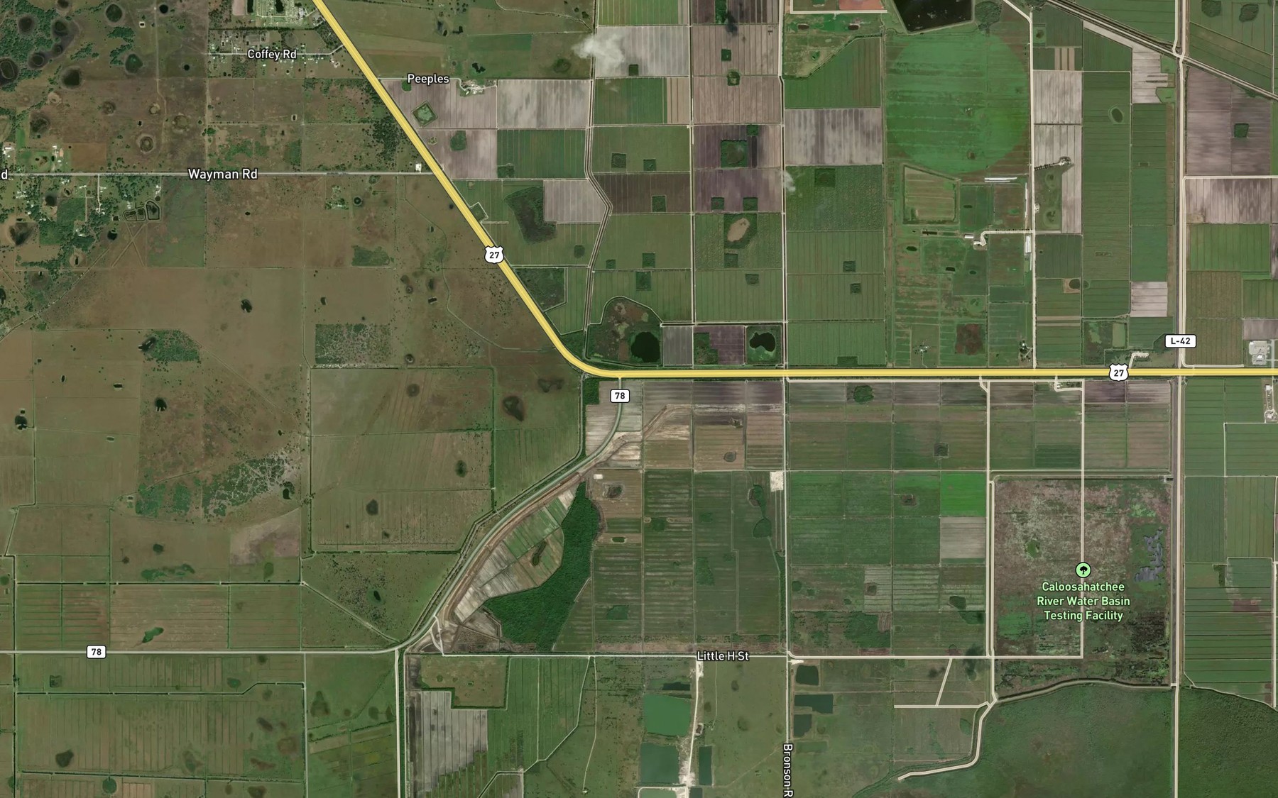 Satellite map of the W H Peeples Pond One
