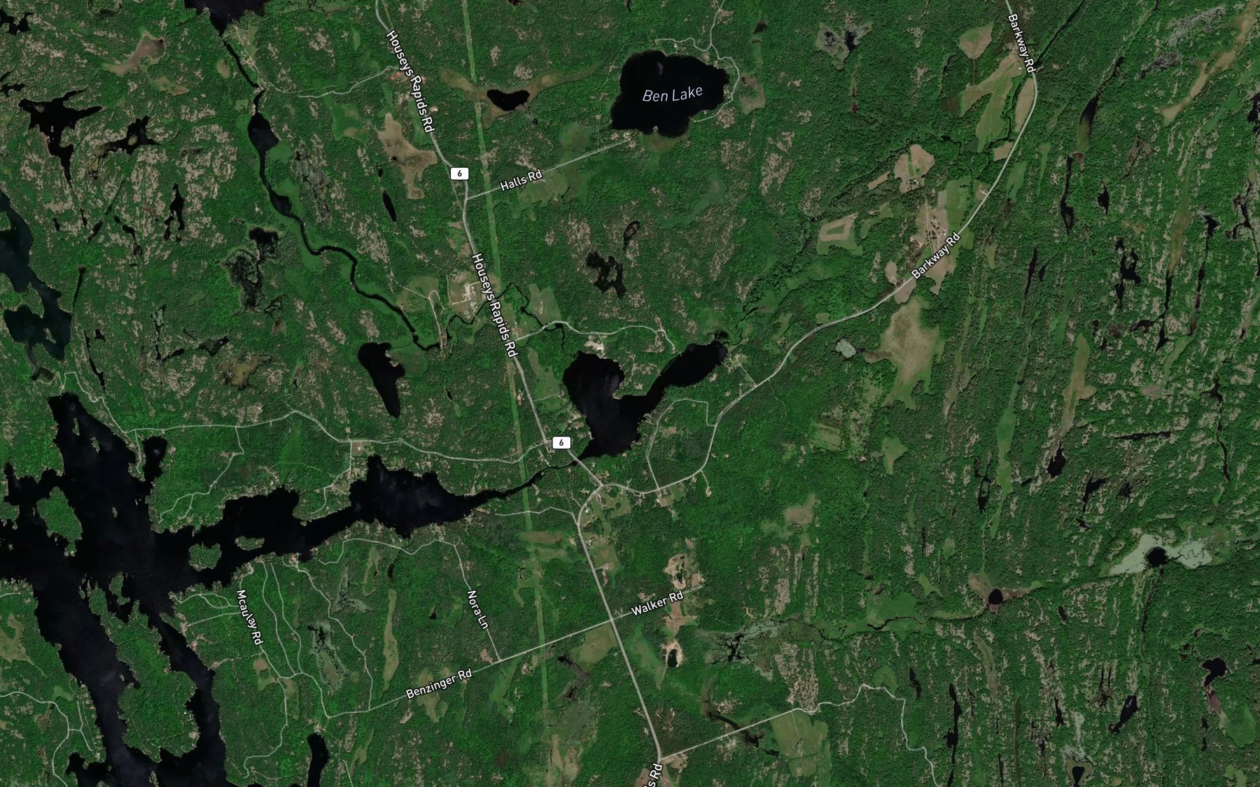 Satellite map of the Bass Lake
