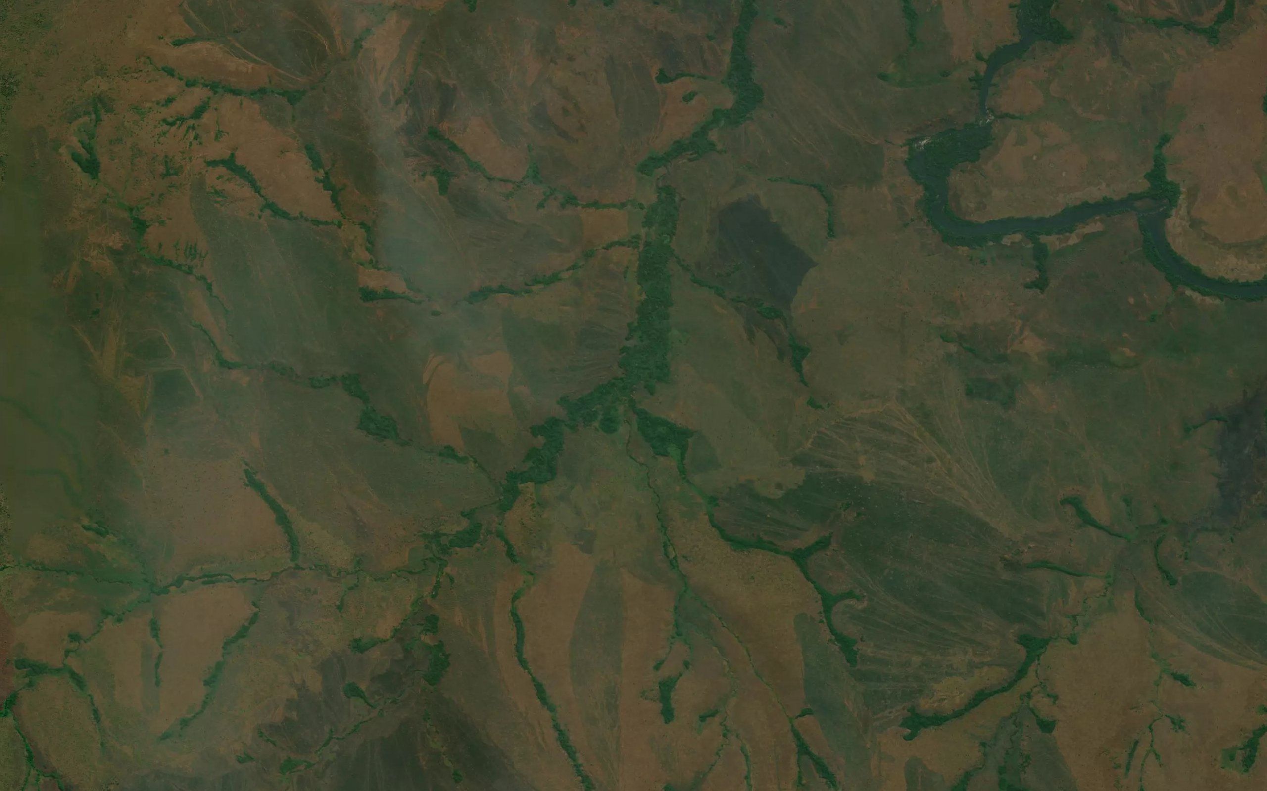 Ngueja