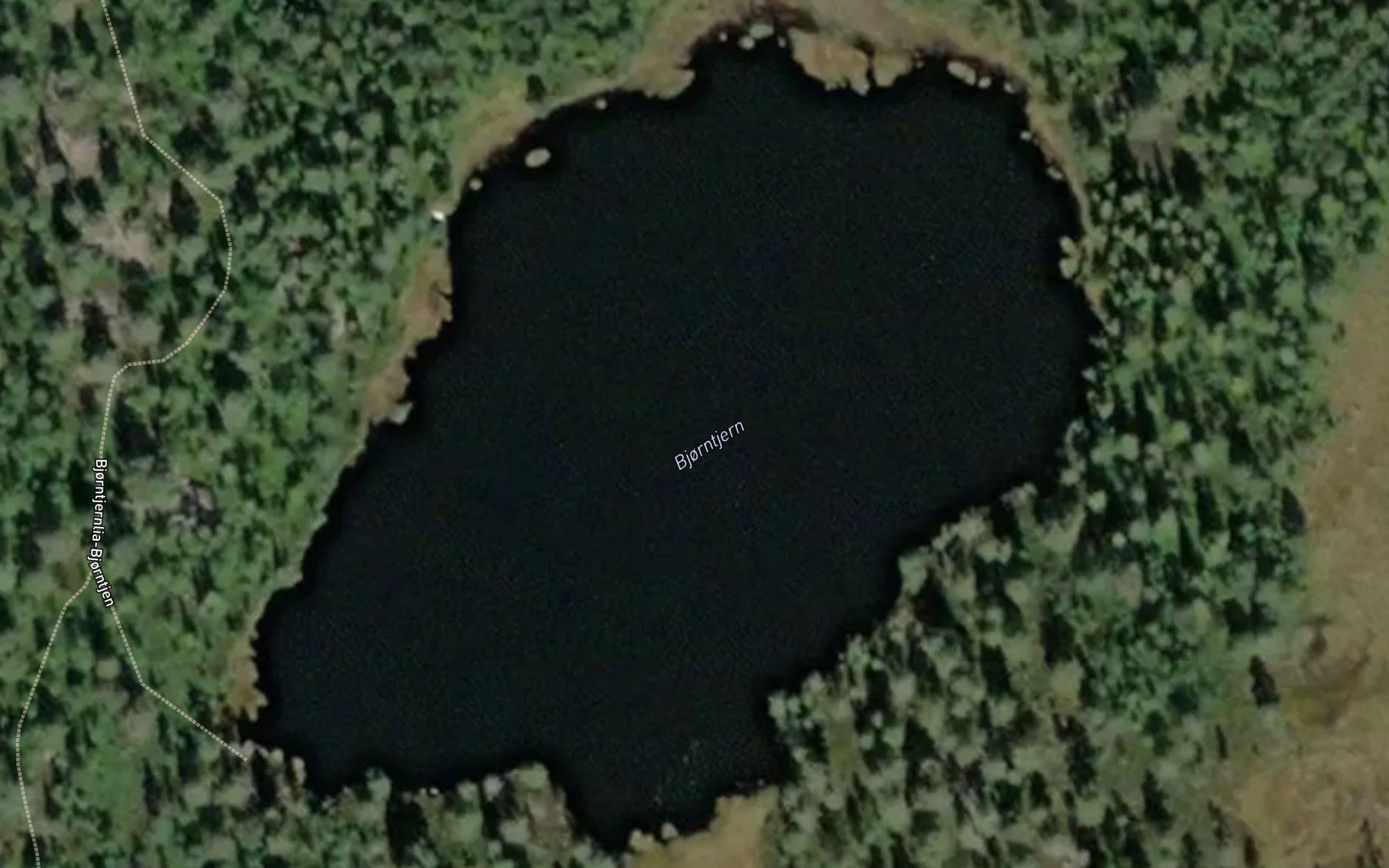 Bjorntjern
