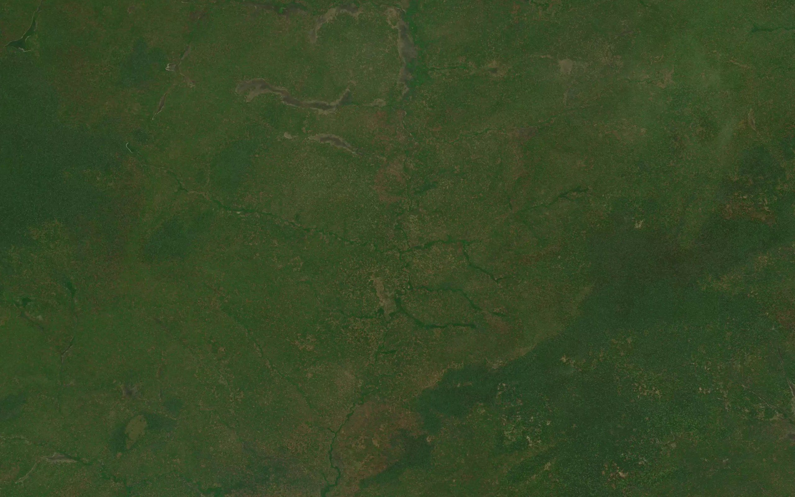 Ngoma