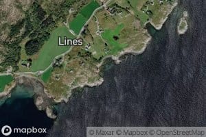Torvvika