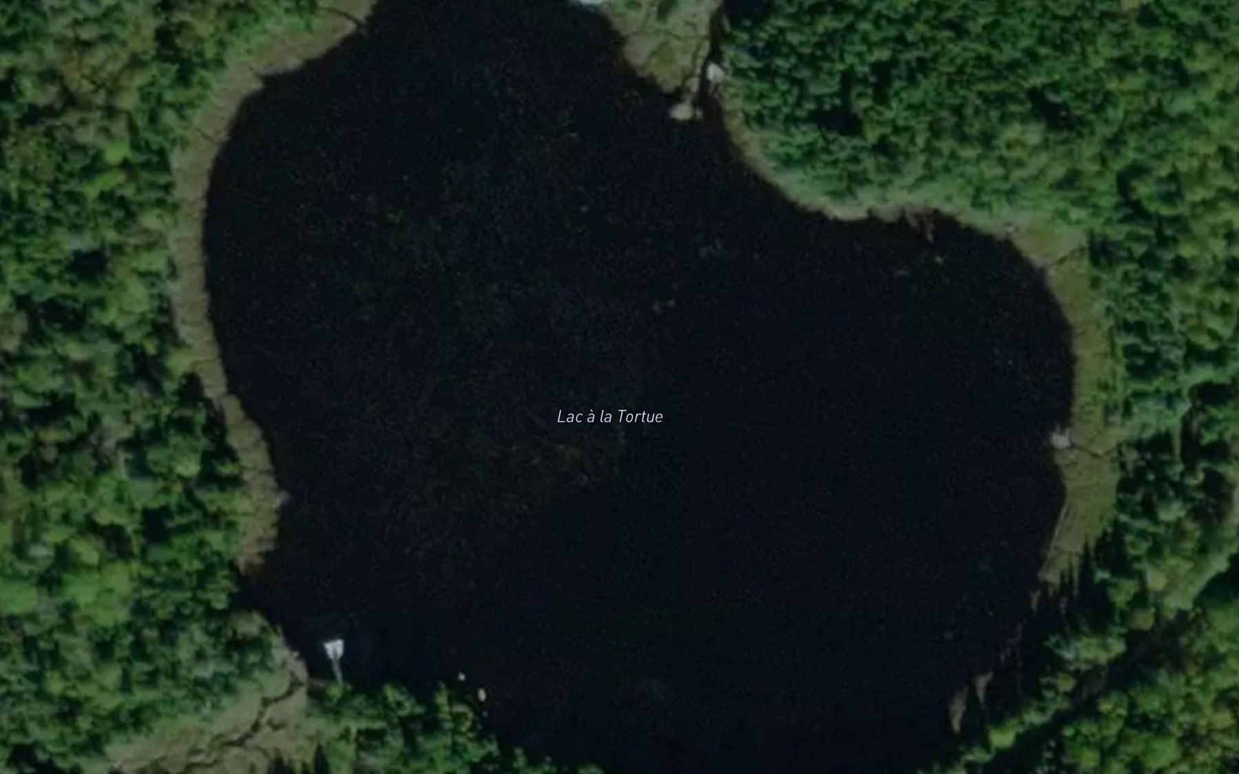 Satellite map of the Lac a la Tortue