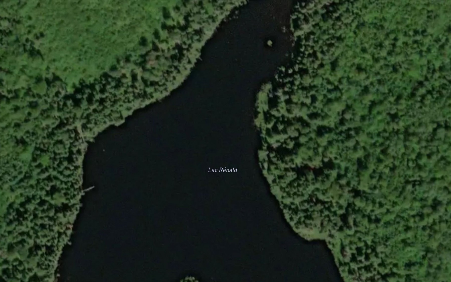 Satellite map of the Lac Renald