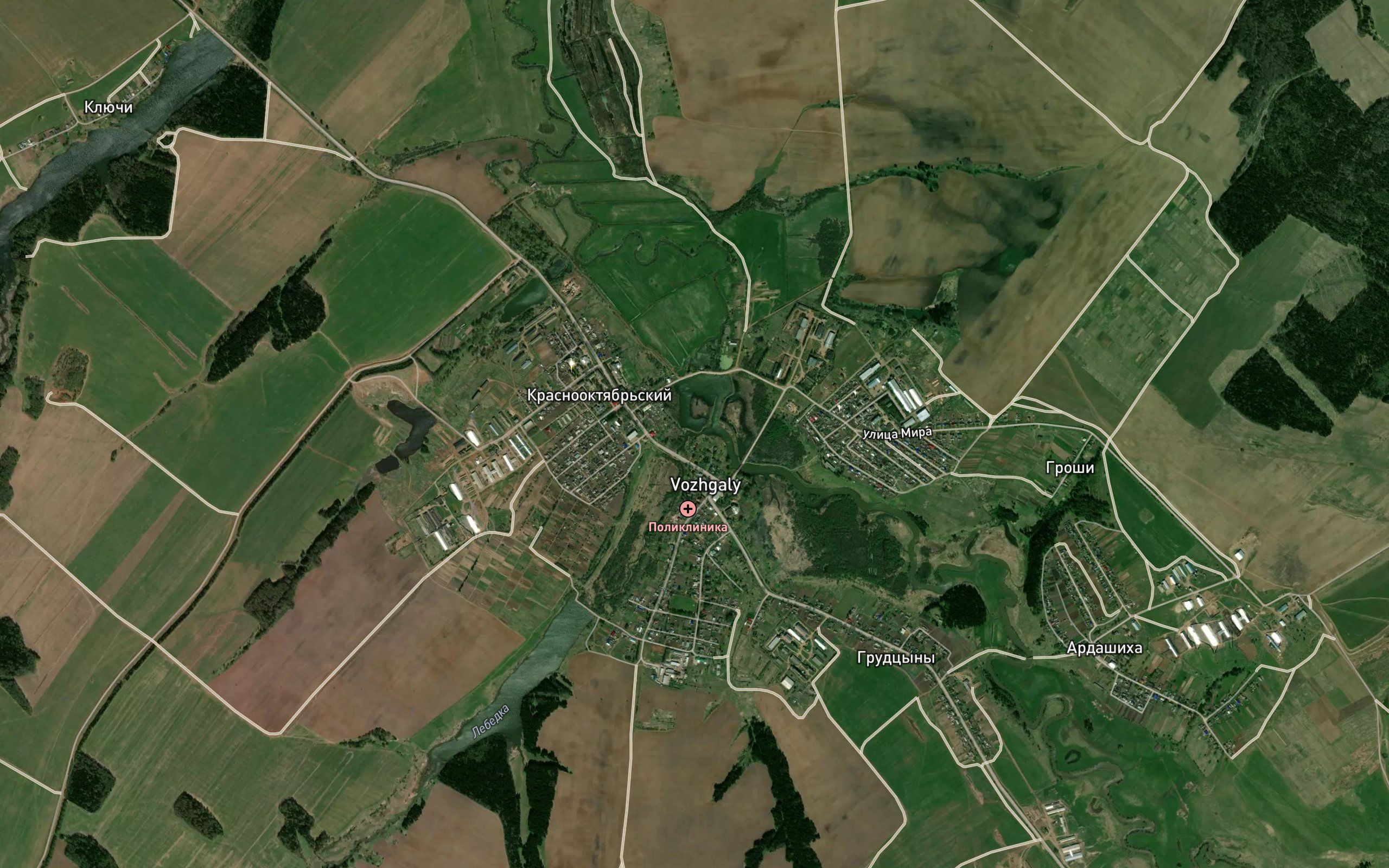 Lebedka