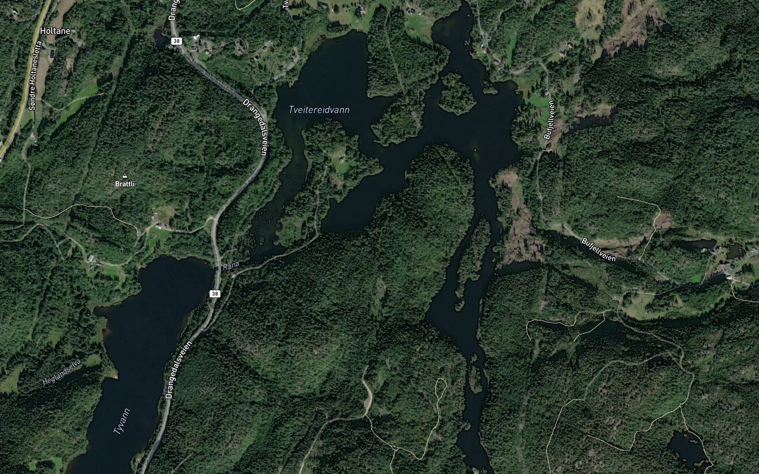 Tveitereidvann