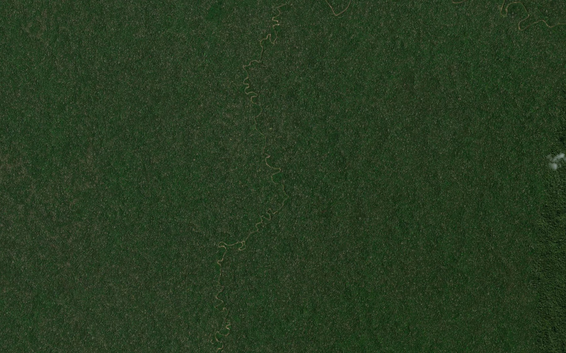 Satellite map of the Rio Independencia