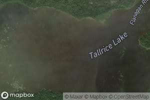 Tallrice Lake