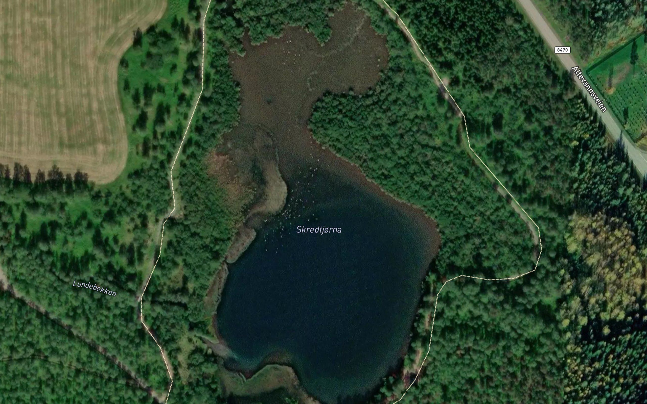 Skredtjorna