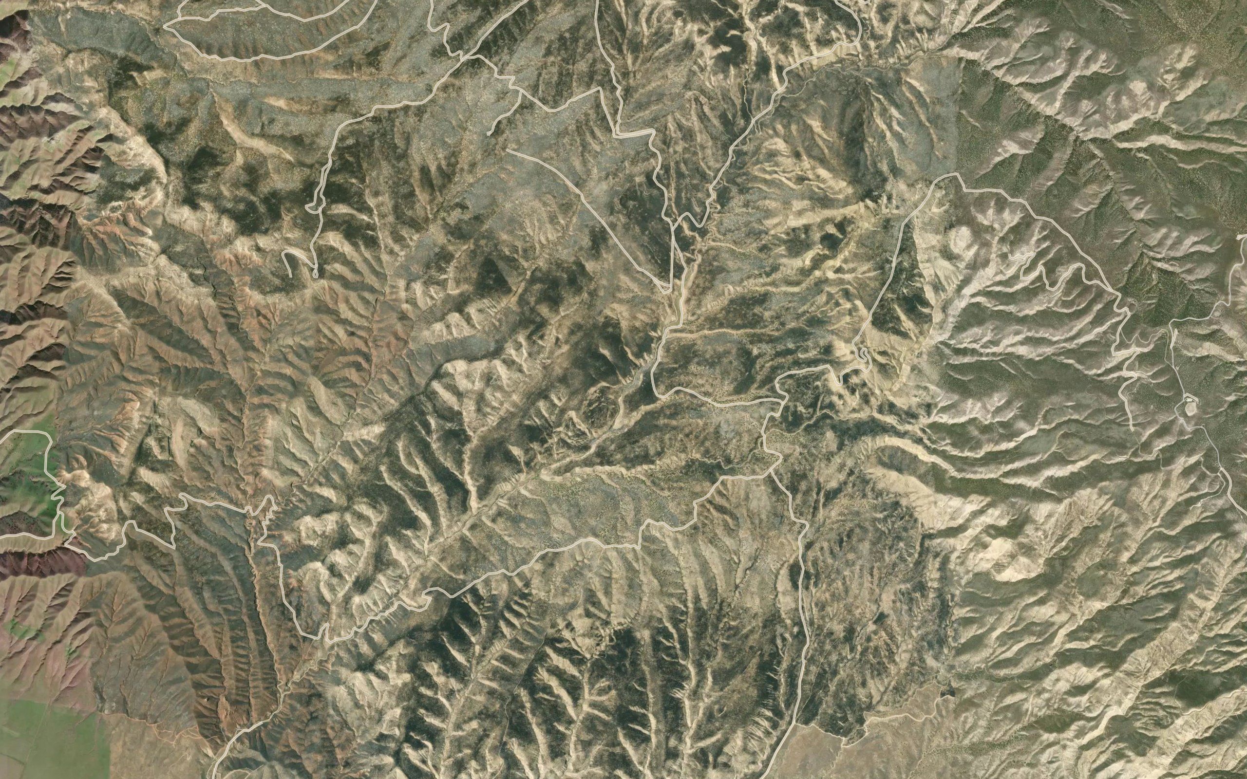 Taylor Spring