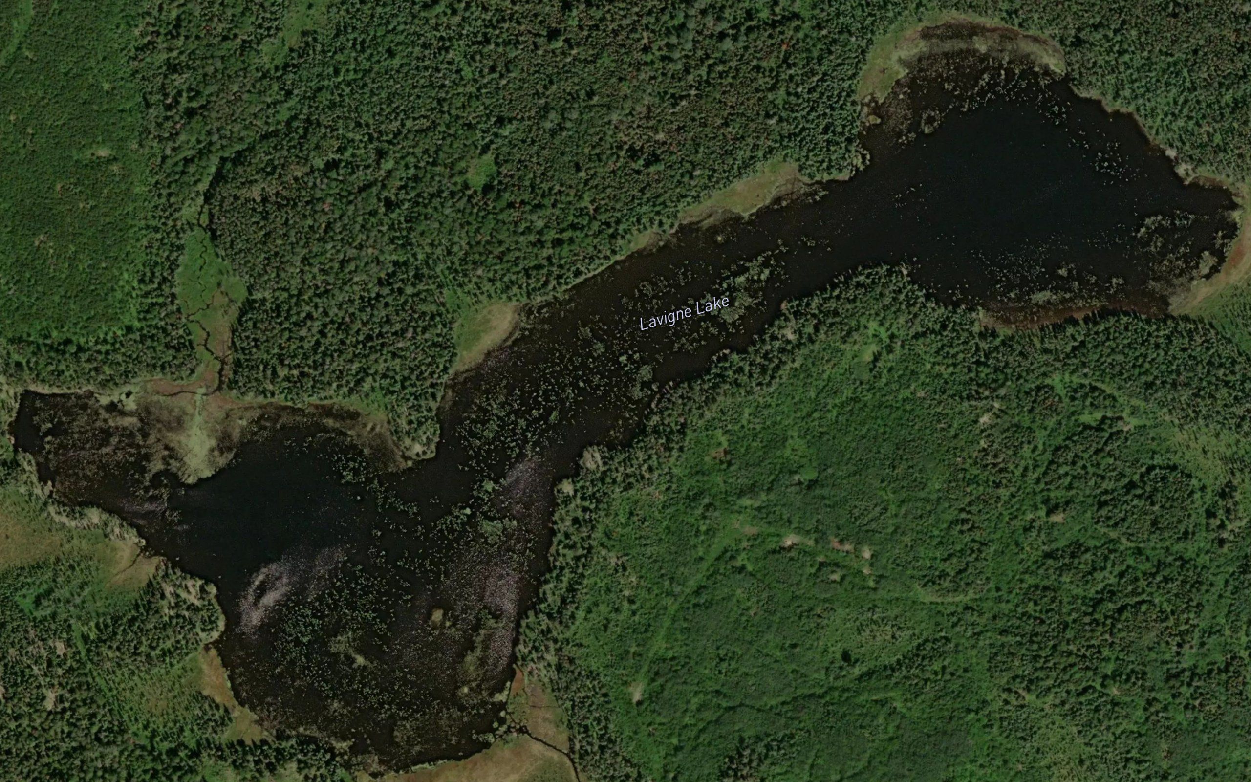 Lavigne Lake