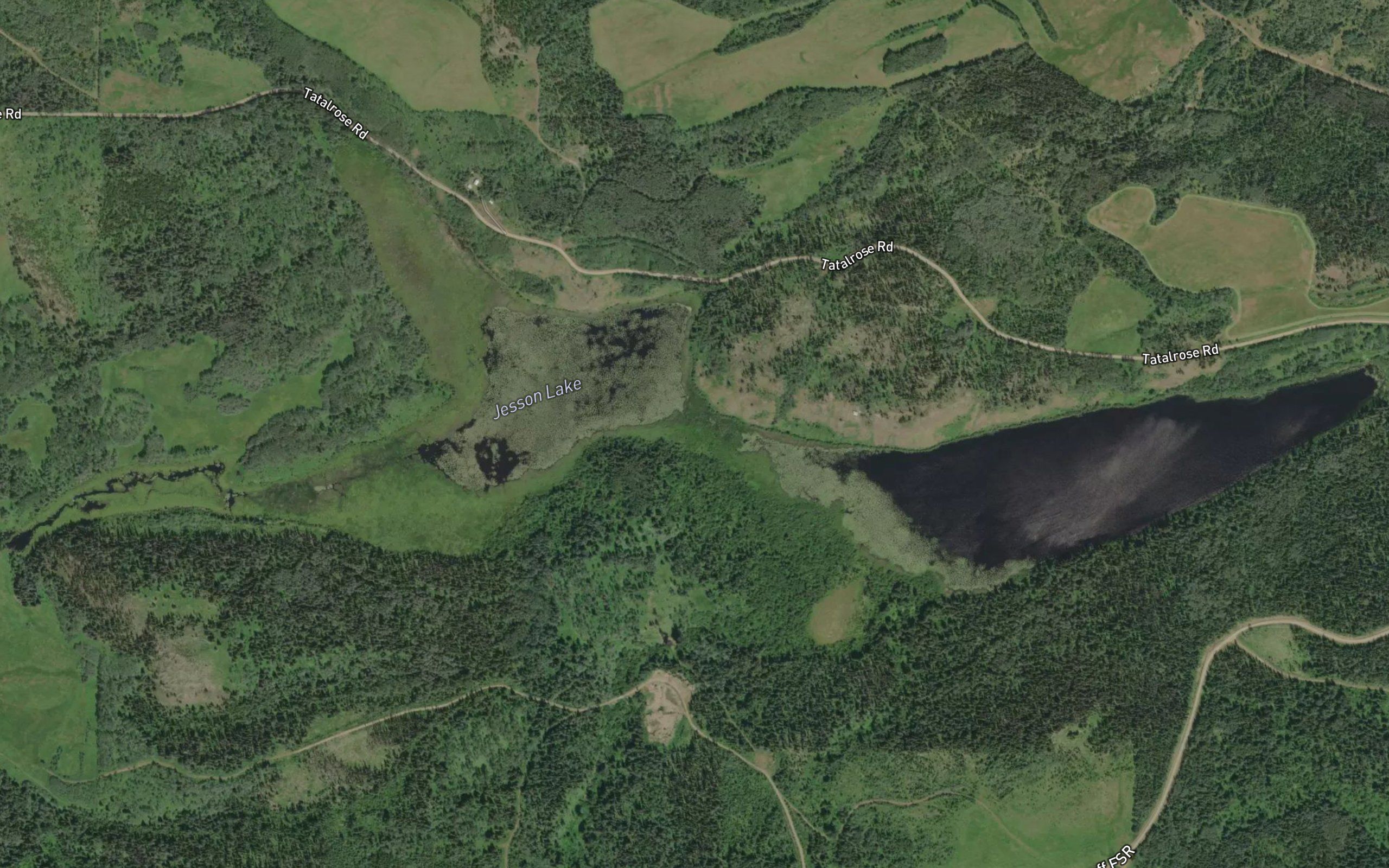Jesson Lake