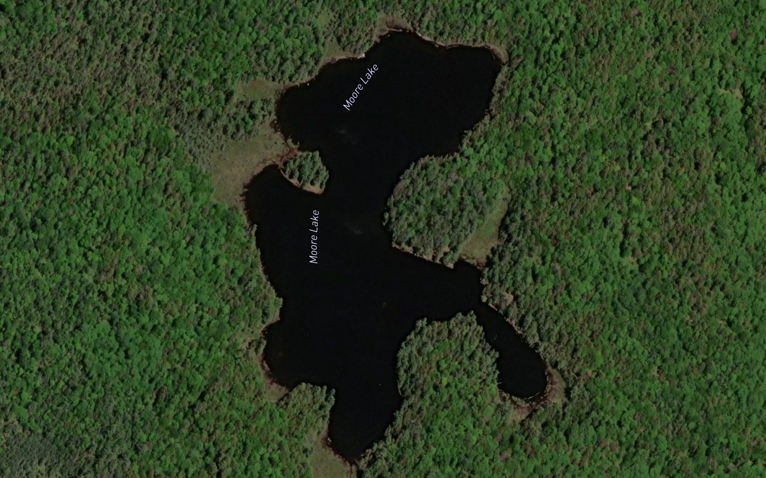 Moore Lake
