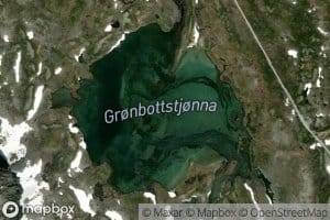 Gronbottstjonna